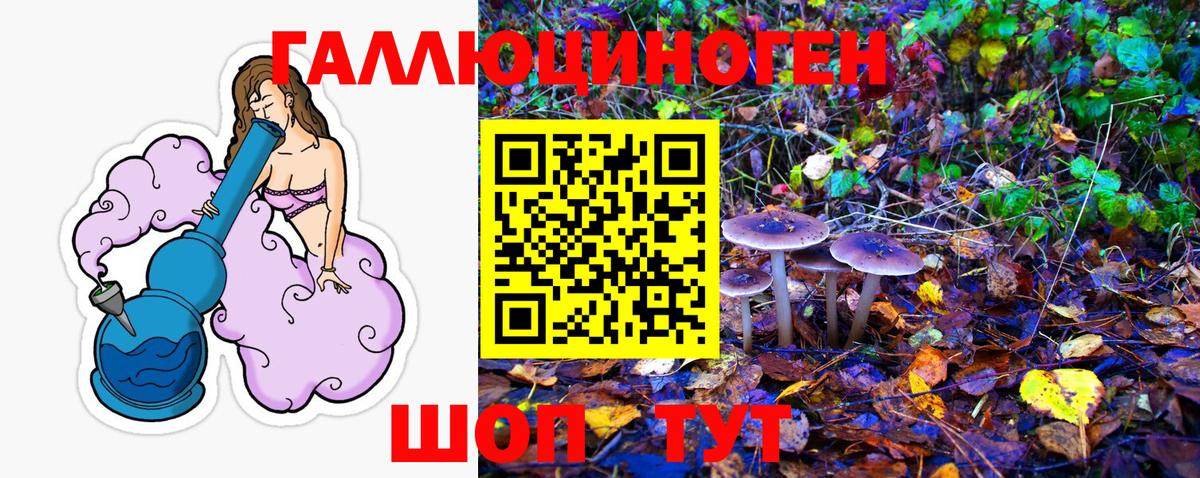 Галлюциногенные грибы прущие грибы  Вход с VPN  Чистополь 